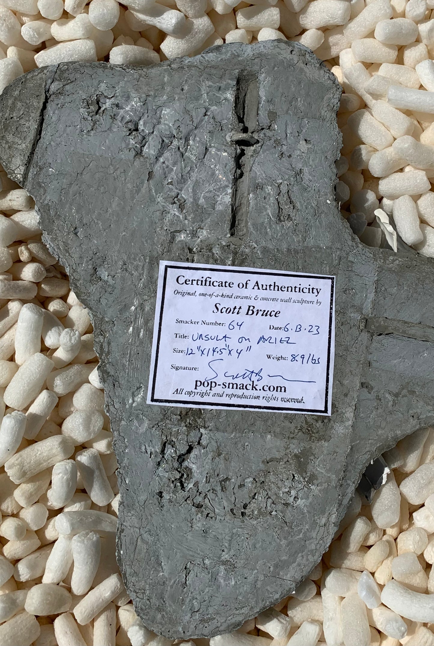 "Erogenous Zone": Ursula Octopus on Ariel Wall Sculpture