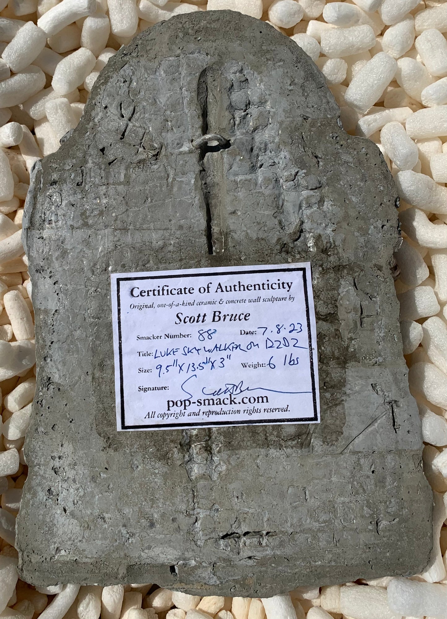 "Shattered Skywalker": Luke Skywalker on R2D2 Wall Sculpture