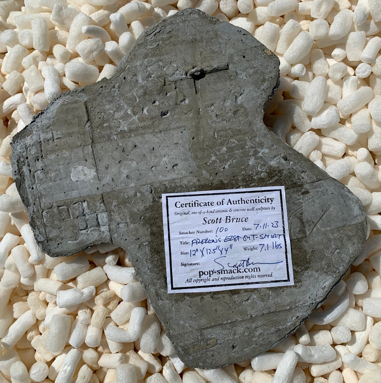 "Belladonna Babe" Frozen's Elsa on T-Shirt Wall Sculpture