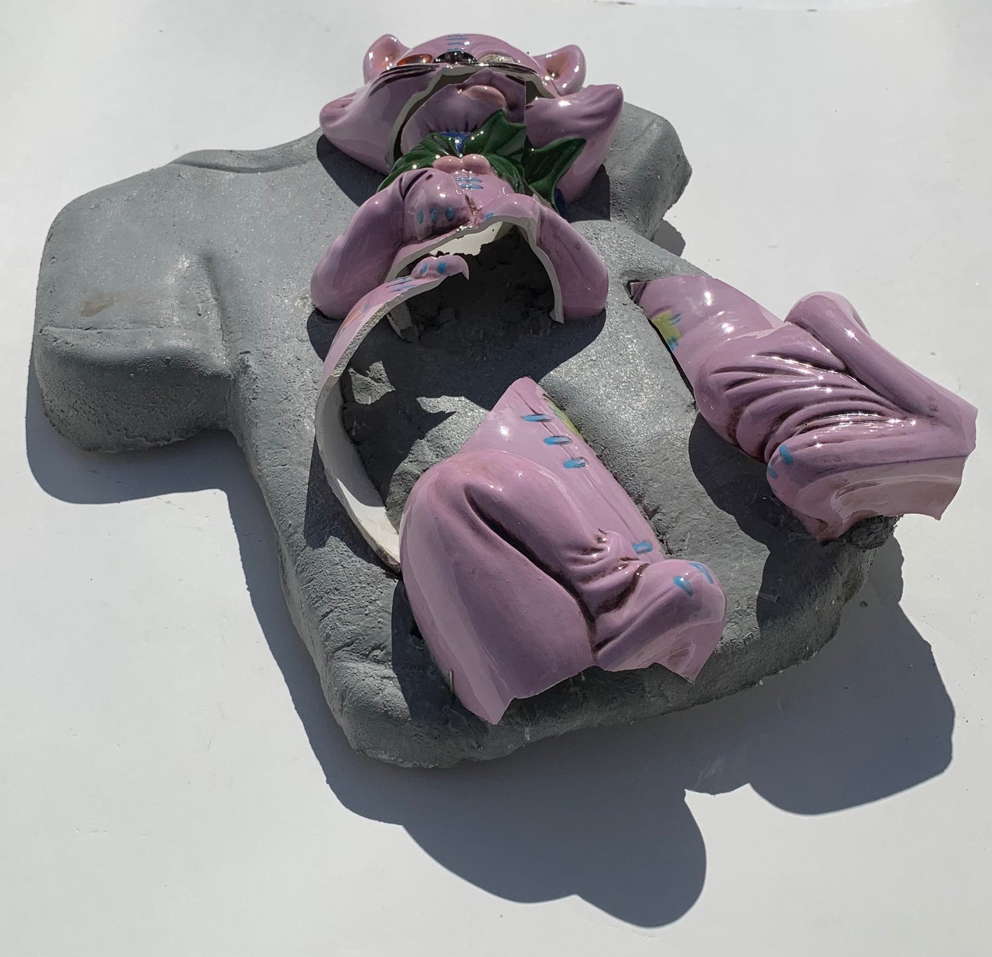 "Aghast-A-Cat": Pink Ragdoll Cat on T-Shirt Wall Sculpture