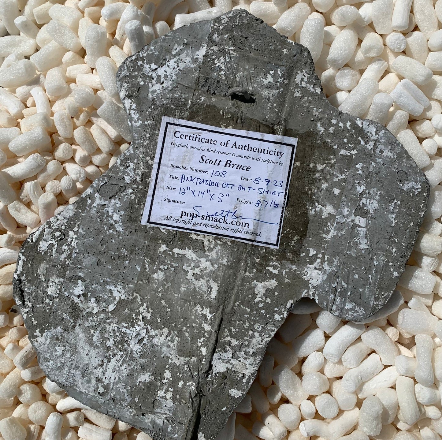 "Aghast-A-Cat": Pink Ragdoll Cat on T-Shirt Wall Sculpture