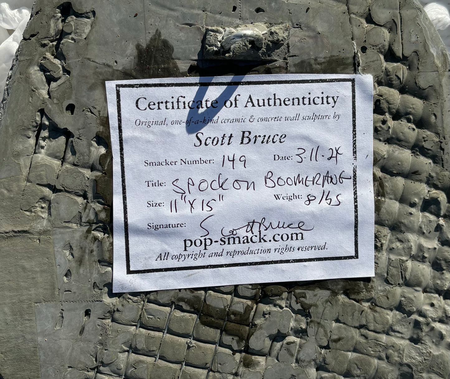 "Fascinating!:  Mr. Spock on Star Fleet Insignia Wall Sculpture